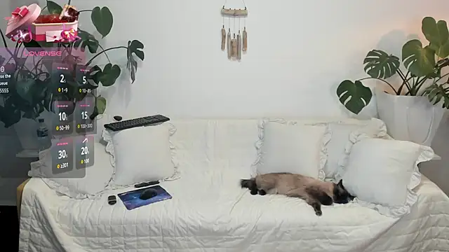 Snapshot of Amie_Hill chatting on February 2026 07:37:01 AM Amie Hill online show from February 2026 07:37:01 AM