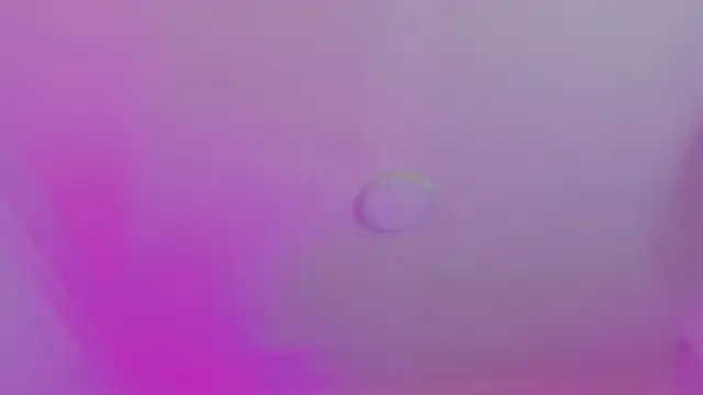 AlliJadid online show from November 2025 11:21:02 AM