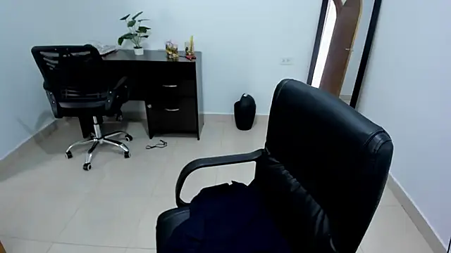 Adele Sweett online show from February 2025 01:49:02 PM