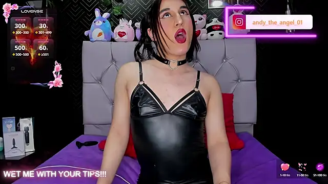 andy angell1 online show from March 2025 04:41:02 AM