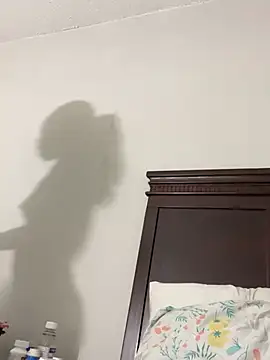 Snapshot of 1prettygem chatting on December 2024 11:05:01 PM 1prettygem online show from December 2024 11:05:01 PM