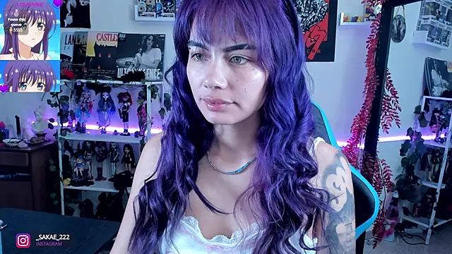 Snapshot of _sakae_ chatting on October 2025 07:47:02 AM sakae online show from October 2025 07:47:02 AM