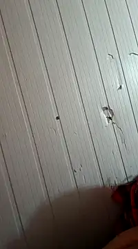 Snapshot of frotasso chatting on January 2025 10:32:02 AM frotasso online show from January 2025 10:32:02 AM