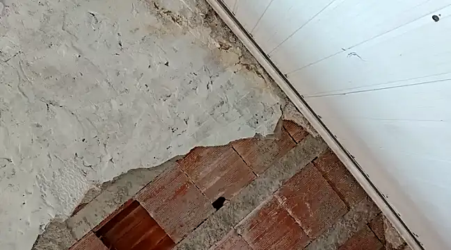 Snapshot of frotasso chatting on January 2025 04:31:02 PM frotasso online show from January 2025 04:31:02 PM