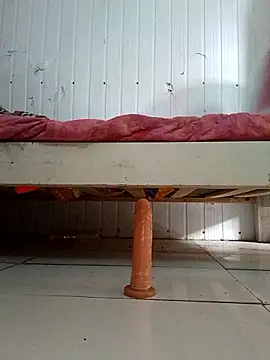 frotasso online show from January 2026 06:21:02 PM