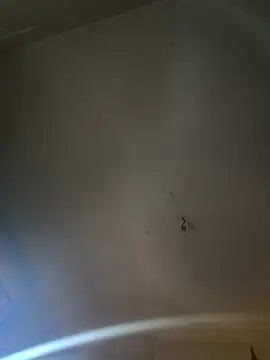 Snapshot of Jiimy2fois chatting on March 2026 09:39:02 AM Jiimy2fois online show from March 2026 09:39:02 AM