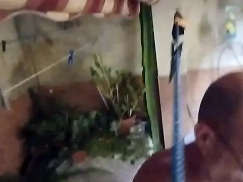 Snapshot of soy_5 chatting on September 2025 08:53:02 PM soy 5 online show from September 2025 08:53:02 PM