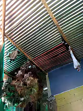 Snapshot of thamygomezz chatting on September 2025 04:39:01 PM thamygomezz online show from September 2025 04:39:01 PM