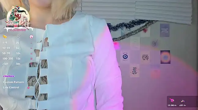 Snapshot of tender_kiitty chatting on December 2024 01:49:01 PM tender kiitty online show from December 2024 01:49:01 PM