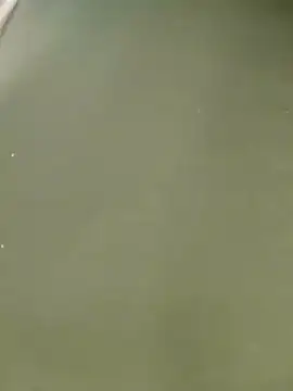 Miss balloonsmila online show from January 2025 09:54:01 PM