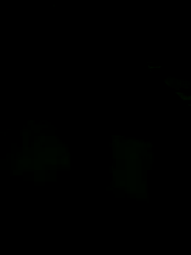 Snapshot of andreiwhite2_ chatting on December 2025 12:06:01 AM andreiwhite2 online show from December 2025 12:06:01 AM