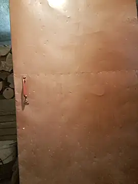 Snapshot of koudelka2322 chatting on February 2026 09:10:02 AM koudelka2322 online show from February 2026 09:10:02 AM