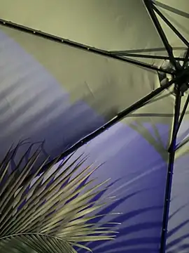 Mariapaula online show from March 2025 12:58:02 AM