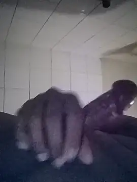 Snapshot of Supun_0322 chatting on October 2025 12:40:02 AM Supun 0322 online show from October 2025 12:40:02 AM