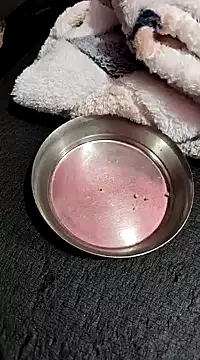 Whitehouse01 online show from January 2025 02:42:02 PM