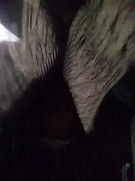 Snapshot of muskan-Sharma chatting on March 2025 04:04:01 AM muskan-Sharma online show from March 2025 04:04:01 AM