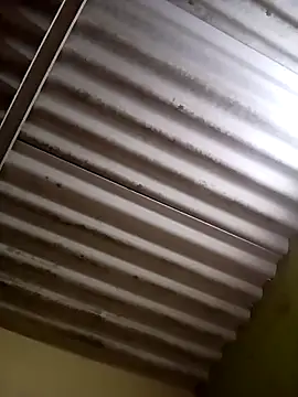 Piya Ji online show from March 2025 08:49:02 AM