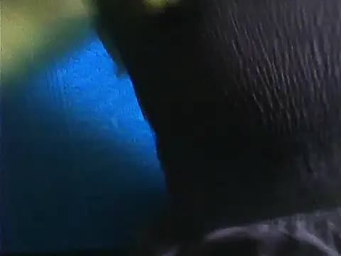 Tamil Vishalini online show from November 2025 07:11:02 AM