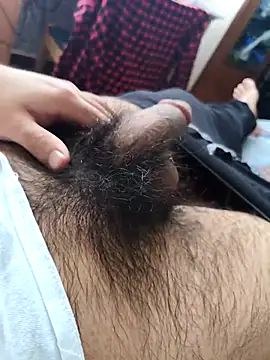 pitorico bb online show from November 2025 04:07:01 PM