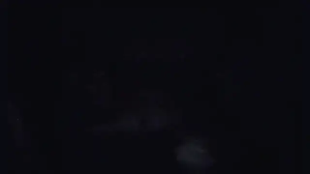 ParaFox online show from September 2025 08:30:02 PM