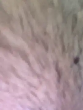 Snapshot of TOPMOON001 chatting on March 2025 06:24:01 AM TOPMOON001 online show from March 2025 06:24:01 AM