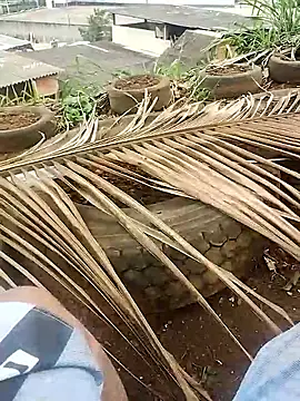 safado0027 online show from October 2025 06:41:01 PM