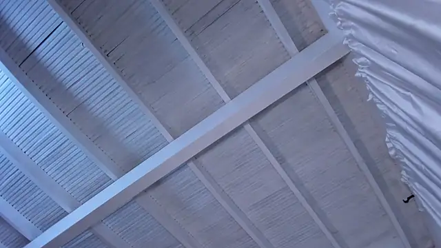 Snapshot of renatarussel chatting on March 2025 11:09:02 PM renatarussel online show from March 2025 11:09:02 PM