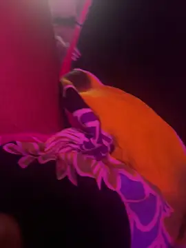 Lilymoonshow online show from March 2025 07:02:02 AM