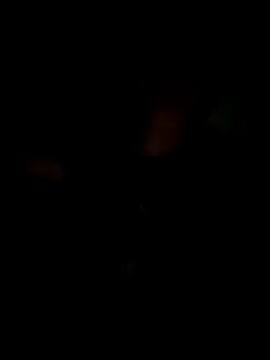 KisSsu online show from January 2026 04:32:01 PM