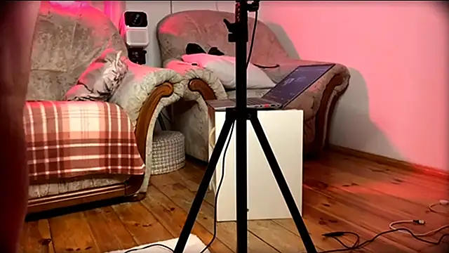 AssHunter4k online show from February 2025 12:30:01 AM