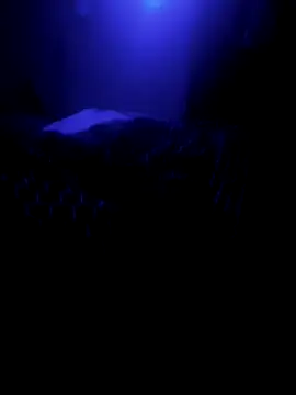 Snapshot of Raziv_komal143 chatting on February 2025 12:16:01 AM Raziv komal143 online show from February 2025 12:16:01 AM