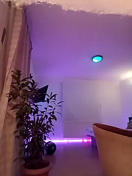 bobbuilder77pl online show from February 2026 03:18:01 AM