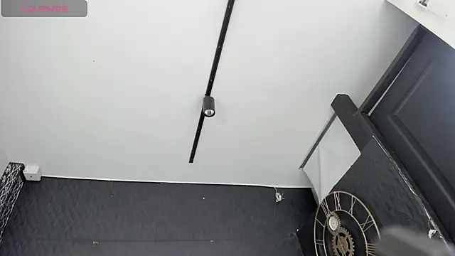 DalayMoore online show from November 2025 08:03:01 PM