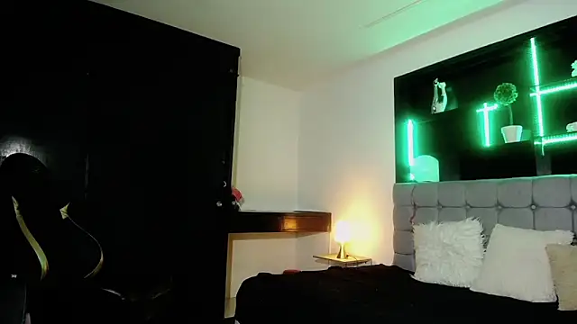 Kitten Cam online show from February 2025 05:33:02 AM