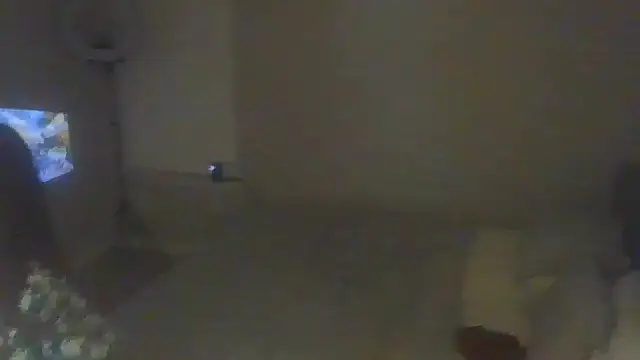 geld 88 online show from February 2025 11:55:01 AM