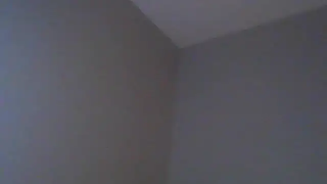 geld 88 online show from March 2025 03:57:01 AM