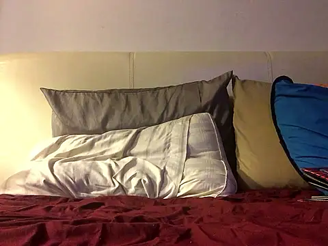 Pilote19 online show from January 2026 05:56:01 AM