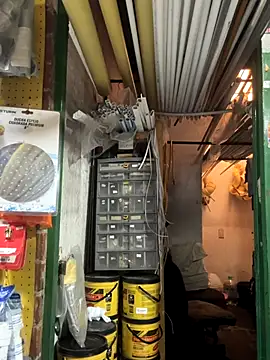 masmelorosa online show from October 2025 09:43:02 PM