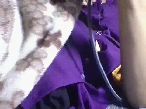 AKANSHA 7 online show from November 2025 04:53:02 PM