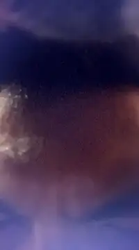 randit7 online show from January 2025 12:52:01 PM