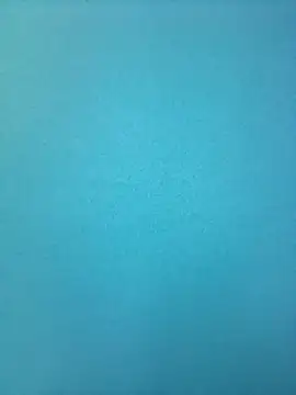 randit7 online show from February 2025 09:10:01 AM