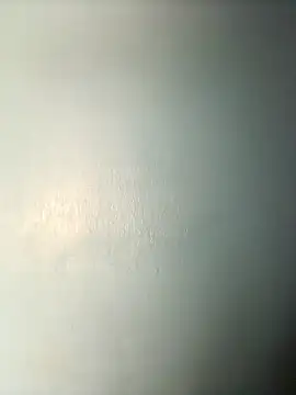 randit7 online show from March 2025 08:10:01 AM