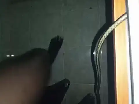 world bigdick1 online show from March 2025 06:48:01 AM