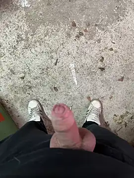 Snapshot of bigplut chatting on February 2025 01:44:01 PM bigplut online show from February 2025 01:44:01 PM