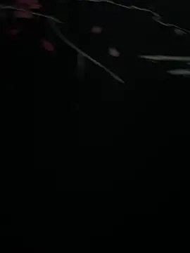 Mo 2003 online show from January 2025 08:04:01 PM