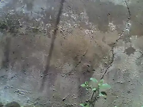 nee2526 online show from March 2026 10:00:02 AM