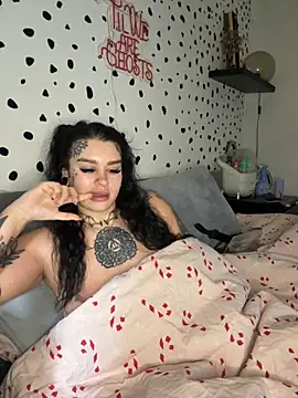 tempzzz12 online show from November 2025 11:09:02 AM