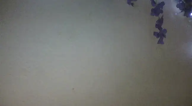 xxsexycutexxx online show from February 2025 06:04:02 PM