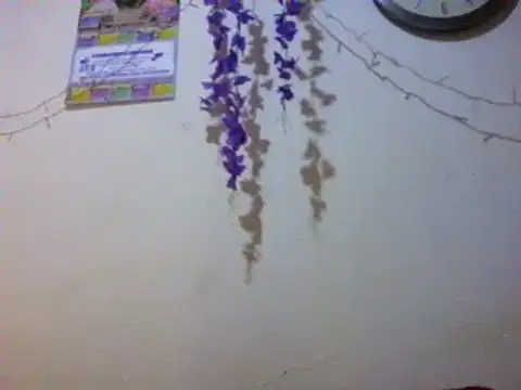 xxsexycutexxx online show from March 2025 02:04:02 PM