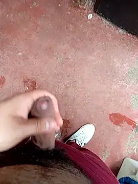 HotC1991 online show from January 2026 02:44:01 PM